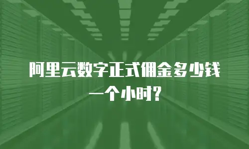 阿里云数字正式佣金多少钱一个小时？