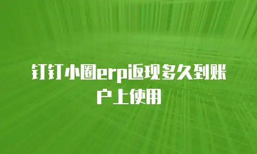 钉钉小圈erp返现多久到账户上使用