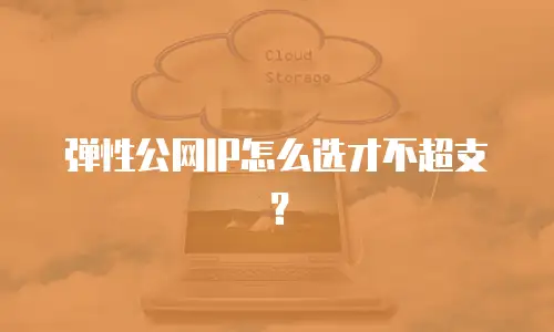 弹性公网IP怎么选才不超支？