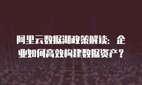 阿里云数据湖政策解读：企业如何高效构建数据资产？