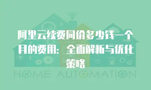 阿里云续费同价多少钱一个月的费用：全面解析与优化策略