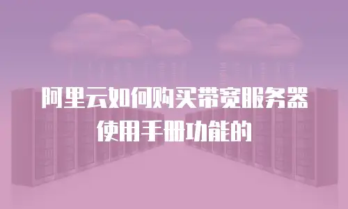 阿里云如何购买带宽服务器使用手册功能的