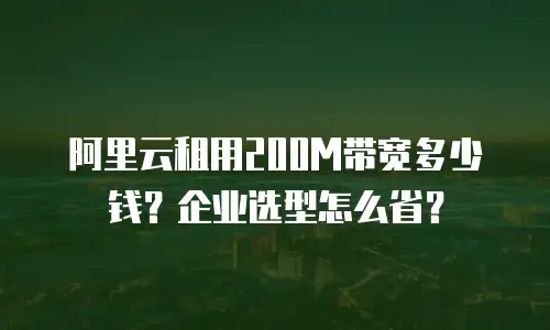 阿里云租用200M带宽多少钱？企业选型怎么省？