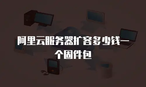 阿里云服务器扩容多少钱一个固件包