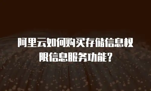 阿里云如何购买存储信息权限信息服务功能？