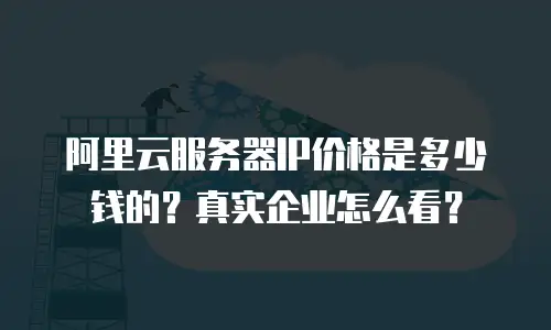 阿里云服务器IP价格是多少钱的？真实企业怎么看？