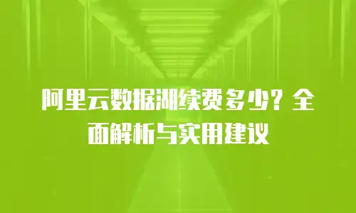阿里云数据湖续费多少？全面解析与实用建议