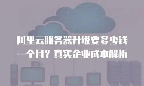 阿里云服务器升级要多少钱一个月？真实企业成本解析