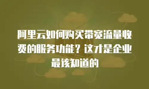 阿里云如何购买带宽流量收费的服务功能？这才是企业最该知道的