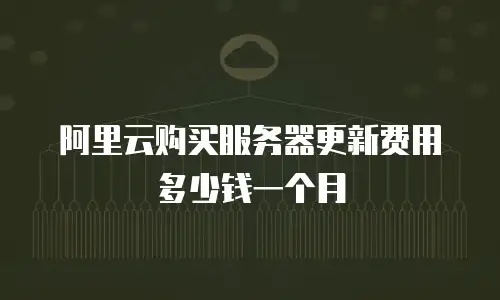 阿里云购买服务器更新费用多少钱一个月