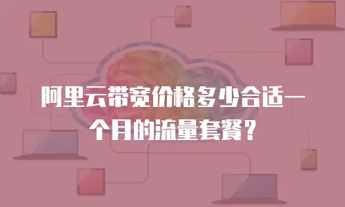 阿里云带宽价格多少合适一个月的流量套餐？