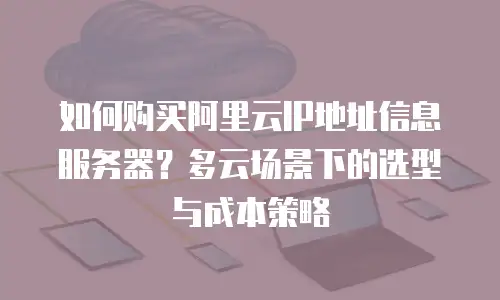 如何购买阿里云IP地址信息服务器？多云场景下的选型与成本策略
