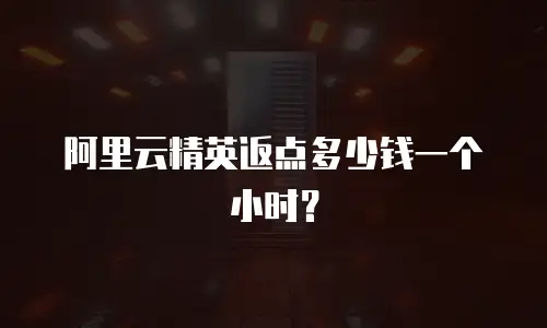阿里云精英返点多少钱一个小时？
