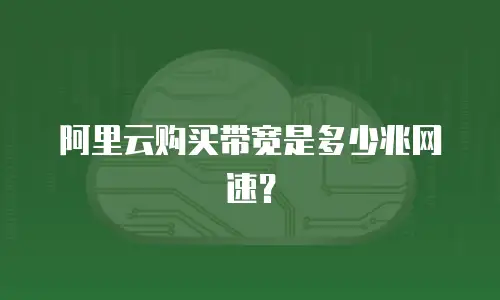阿里云购买带宽是多少兆网速？