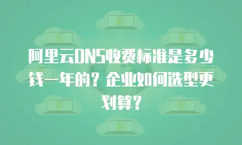 阿里云DNS收费标准是多少钱一年的？企业如何选型更划算？