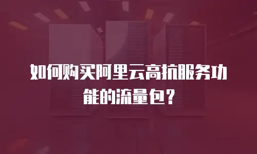 如何购买阿里云高抗服务功能的流量包？