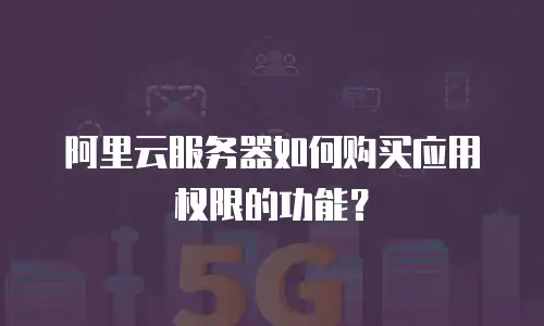 阿里云服务器如何购买应用权限的功能？