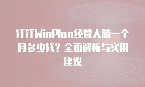 钉钉WinPlan经营大脑一个月多少钱？全面解析与实用建议