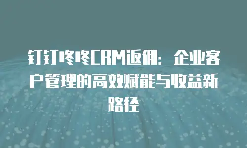 钉钉咚咚CRM返佣：企业客户管理的高效赋能与收益新路径