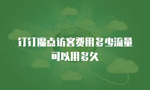 钉钉魔点访客费用多少流量可以用多久
