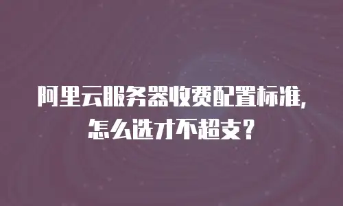 阿里云服务器收费配置标准，怎么选才不超支？