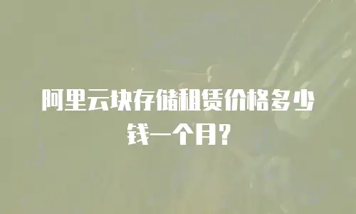 阿里云块存储租赁价格多少钱一个月？