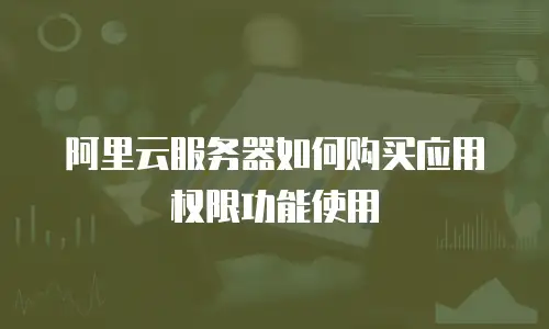 阿里云服务器如何购买应用权限功能使用