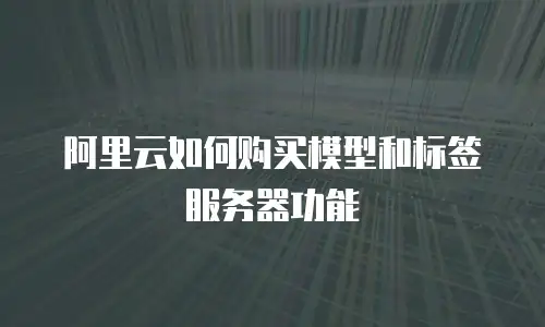 阿里云如何购买模型和标签服务器功能