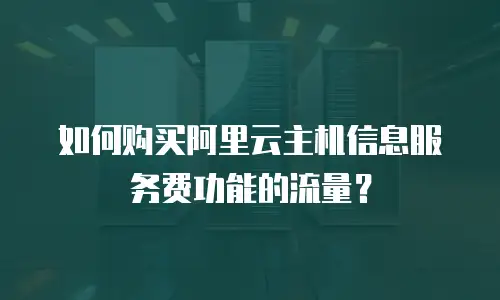 如何购买阿里云主机信息服务费功能的流量？