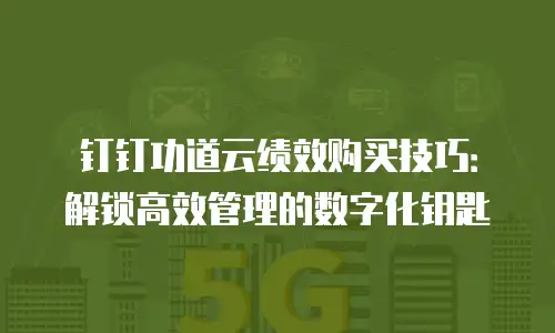 钉钉功道云绩效购买技巧：解锁高效管理的数字化钥匙