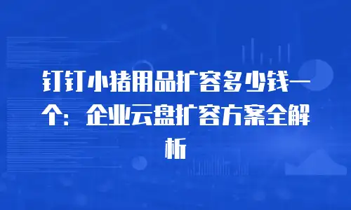 钉钉小猪用品扩容多少钱一个：企业云盘扩容方案全解析