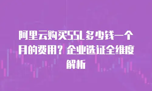 阿里云购买SSL多少钱一个月的费用？企业选证全维度解析