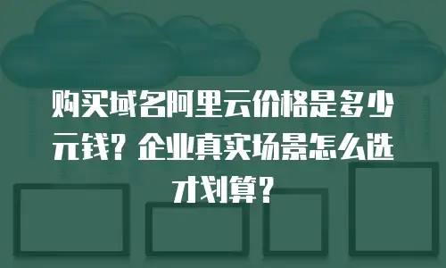 购买域名阿里云价格是多少元钱？企业真实场景怎么选才划算？