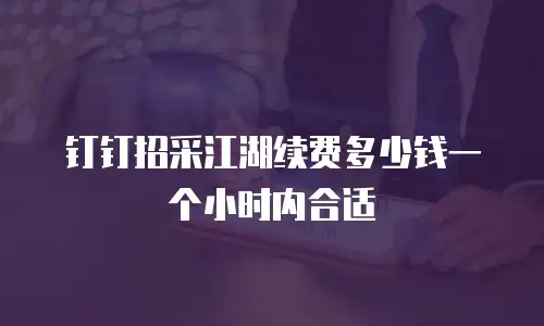 钉钉招采江湖续费多少钱一个小时内合适