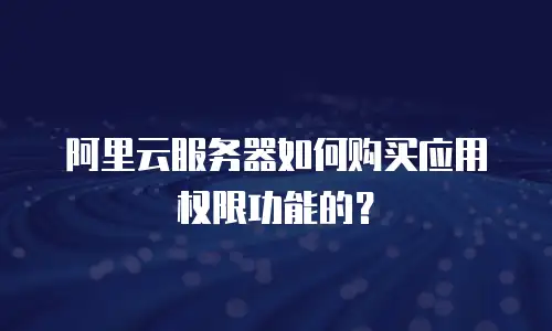 阿里云服务器如何购买应用权限功能的？