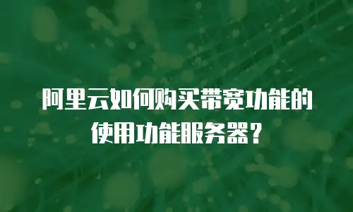 阿里云如何购买带宽功能的使用功能服务器？