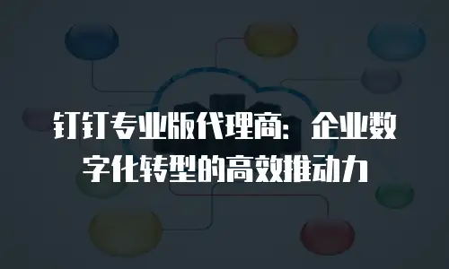 钉钉专业版代理商：企业数字化转型的高效推动力