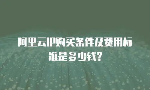阿里云IP购买条件及费用标准是多少钱？