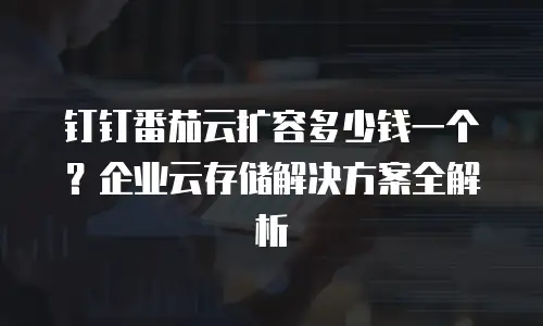 钉钉番茄云扩容多少钱一个？企业云存储解决方案全解析
