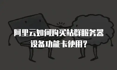 阿里云如何购买站群服务器设备功能卡使用？