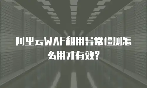 阿里云WAF租用异常检测怎么用才有效？