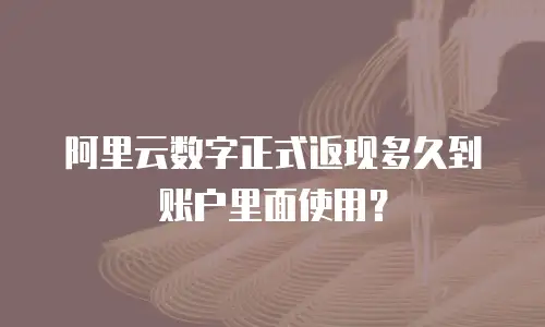 阿里云数字正式返现多久到账户里面使用？