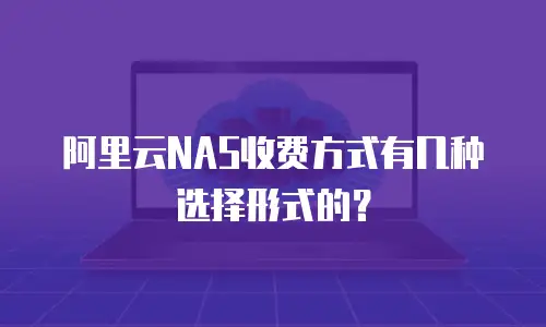 阿里云NAS收费方式有几种选择形式的？