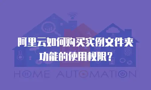 阿里云如何购买实例文件夹功能的使用权限？