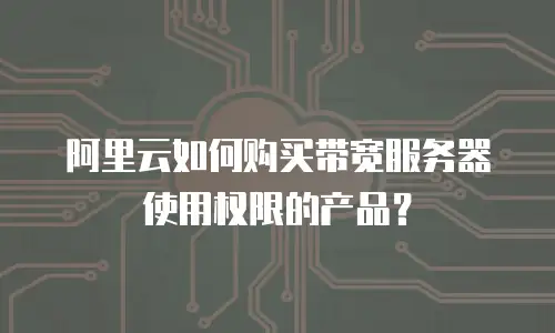 阿里云如何购买带宽服务器使用权限的产品？