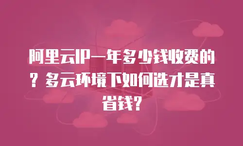 阿里云IP一年多少钱收费的？多云环境下如何选才是真省钱？