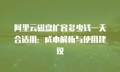 阿里云磁盘扩容多少钱一天合适用：成本解析与使用建议