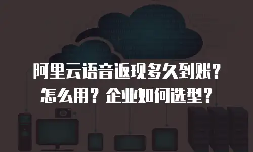 阿里云语音返现多久到账？怎么用？企业如何选型？