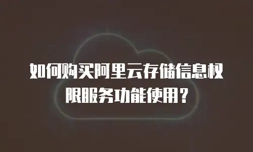 如何购买阿里云存储信息权限服务功能使用？