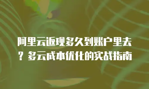 阿里云返现多久到账户里去？多云成本优化的实战指南